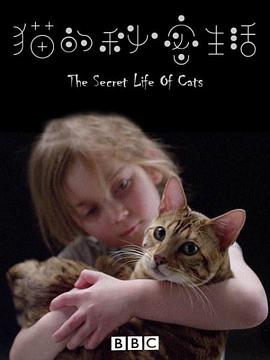 猫猫的奇妙世界
