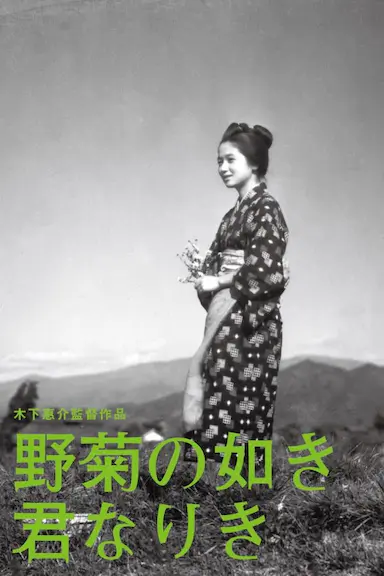 野菊之墓