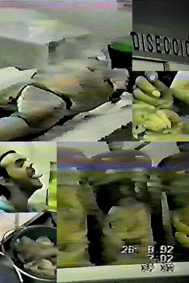 死者的停尸房