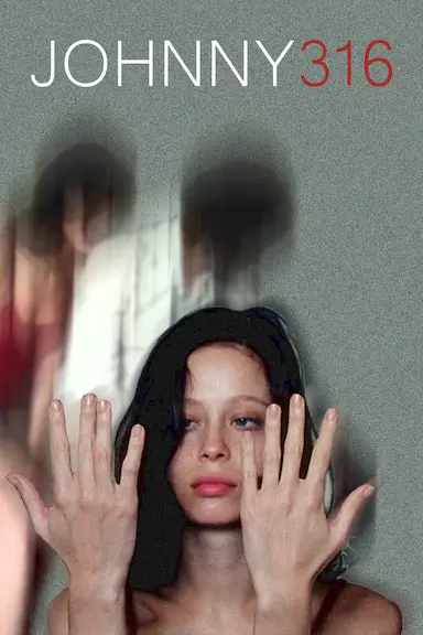 约翰尼316