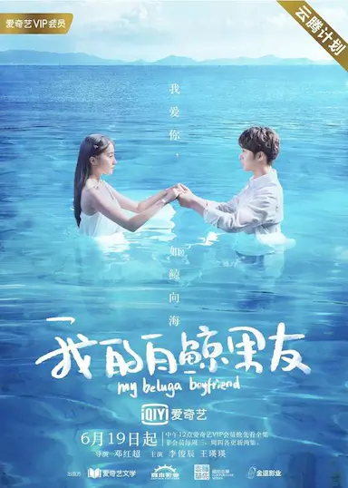 我的白鲸男友