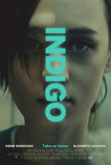 Indigo(2016)
