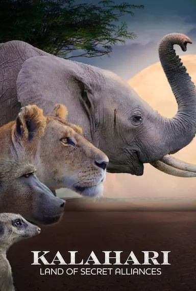 Kalahari, l'autre loi de la jungle Season 1